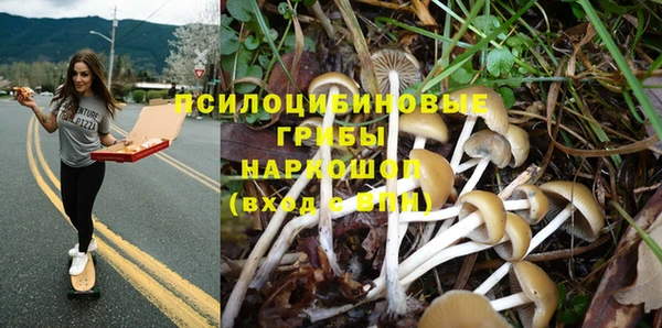 бошки Абинск