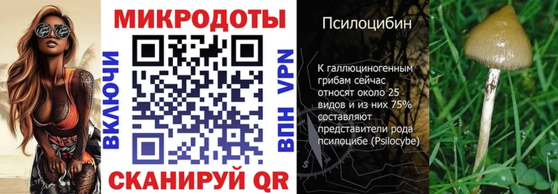 наркота  Полысаево  Галлюциногенные грибы прущие грибы 